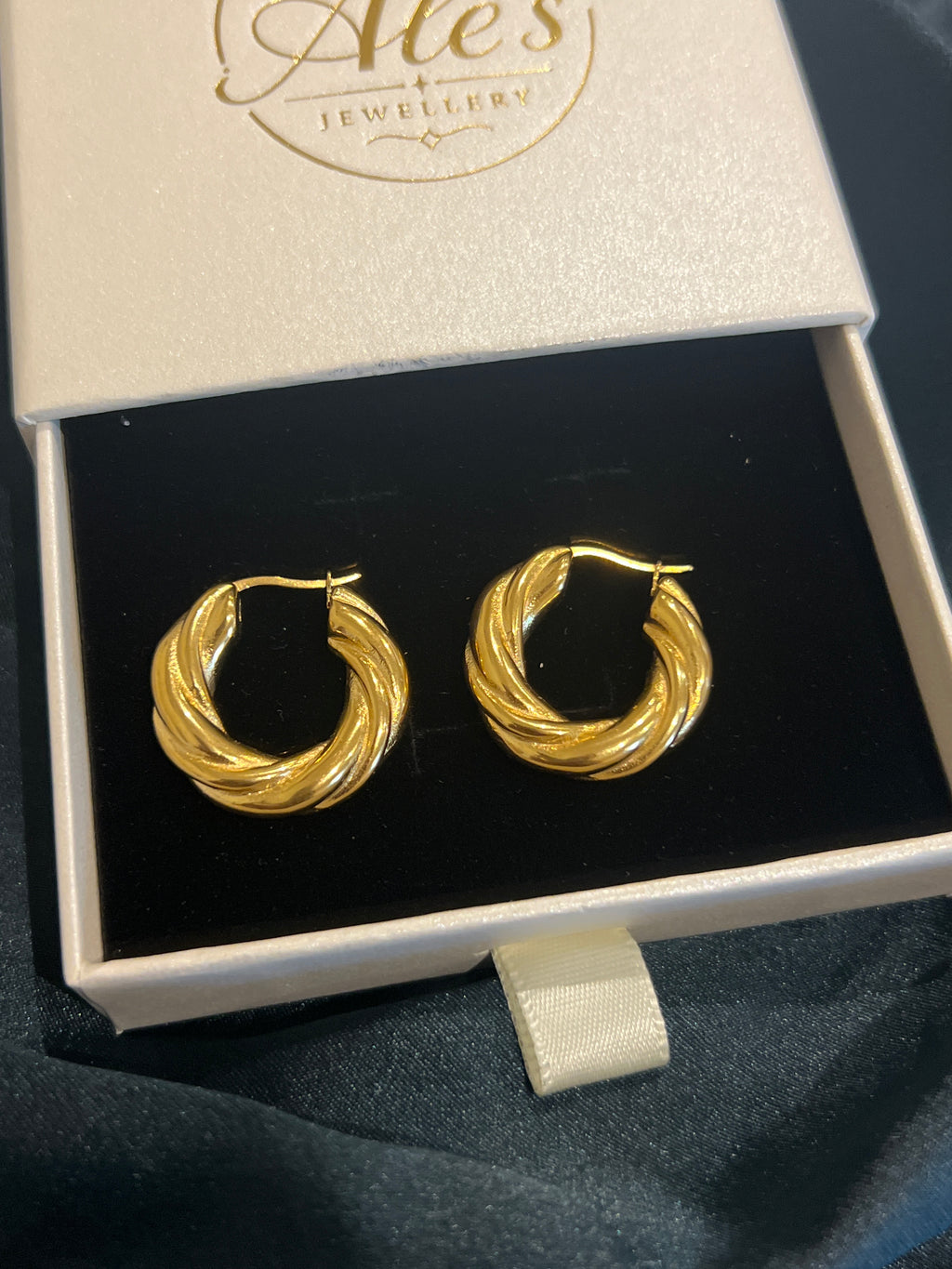 Twisted Hoop Earrings